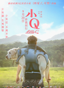 av网在线观看